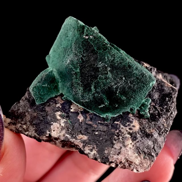 Malachite pseudomorph after Azurite (fine specimen)