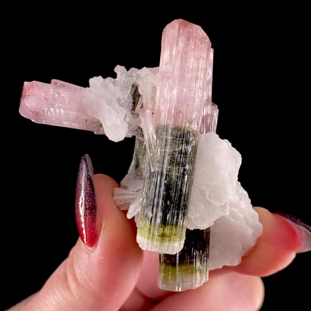 Tourmaline (doubly-terminated multi-color crystals) with Albite var: Cleavelandite