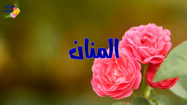 كثير العطاء والإنعام جل جلاله المنان أنشودة رائعة