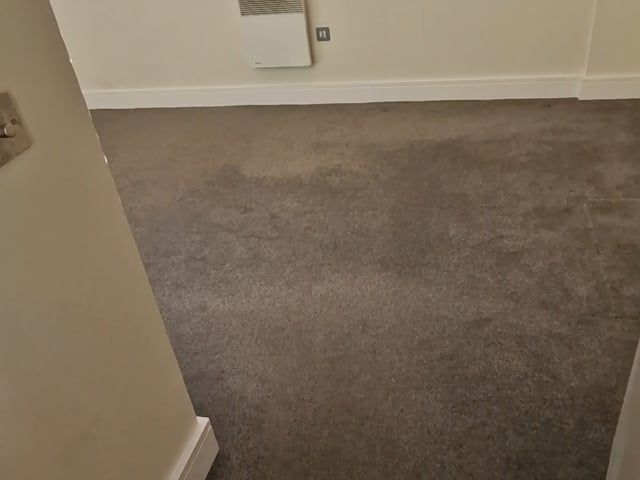 Double Room Available in Beautiful Peckham Flat (  Main Photo