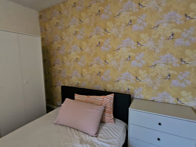 Double Room in Chatham for working professional Main Photo