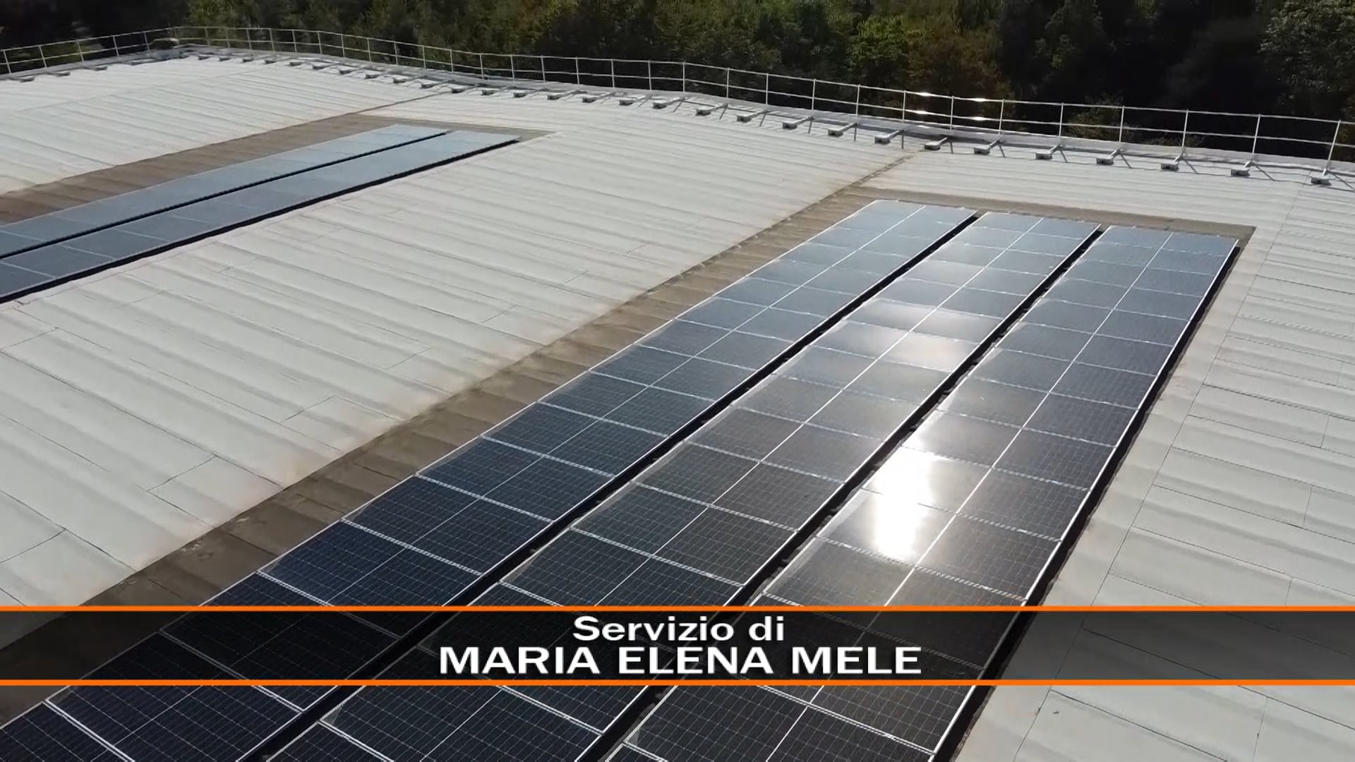 Ecco il nuovo Palacus di Unibo. Più attenzione all'ambiente éTV Rete 7