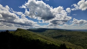 MOHONK PRESERVE AUCTION