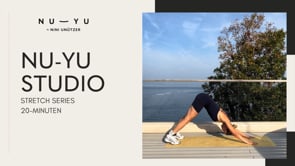 Related Embedded Video Item Thumbnail