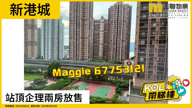 站頂企理兩房放售
