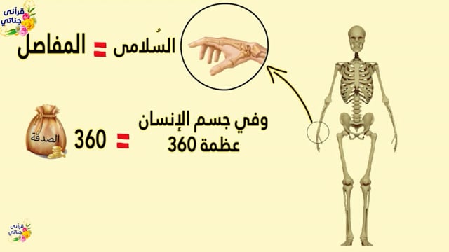 48-فضل البر