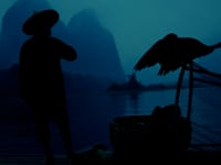 nikon - cormorant fishermen