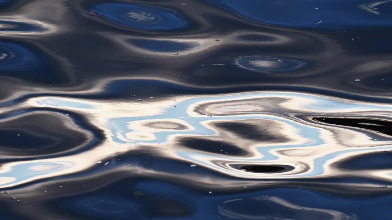 https://i.vimeocdn.com/video/1927179604-9c27b426f2bb9aa7b091970d9110b471578c51f7f9f56d3848196be2f4ee1a3c-d