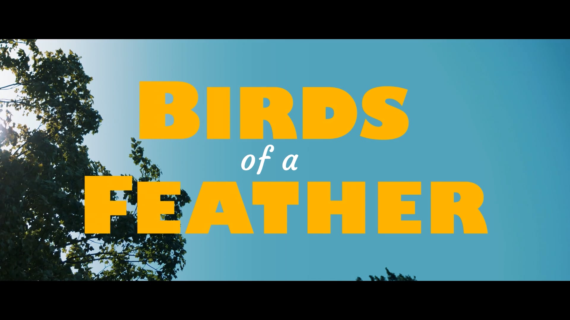 PUGET SOUND KIDNEY CENTERS | Non-Profit Short Documentary