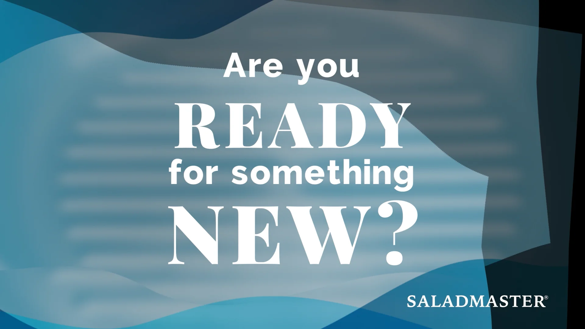 新品、サラダマスター　限定販売品 エッセンシャルパン サラダマスター（ジャパン公式サイト）