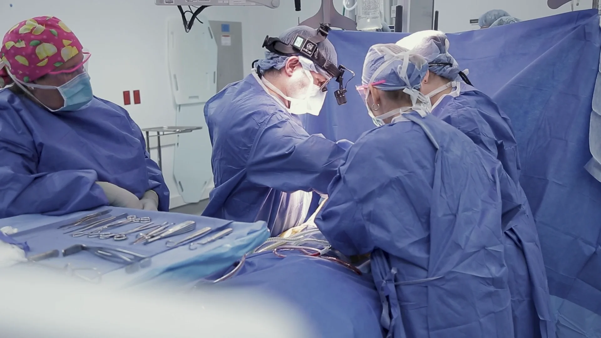 健康・医学 UROLOGIC SURGERY in Infants and Children 健康・医学 UROLOGIC SURGERY in Infants and Children