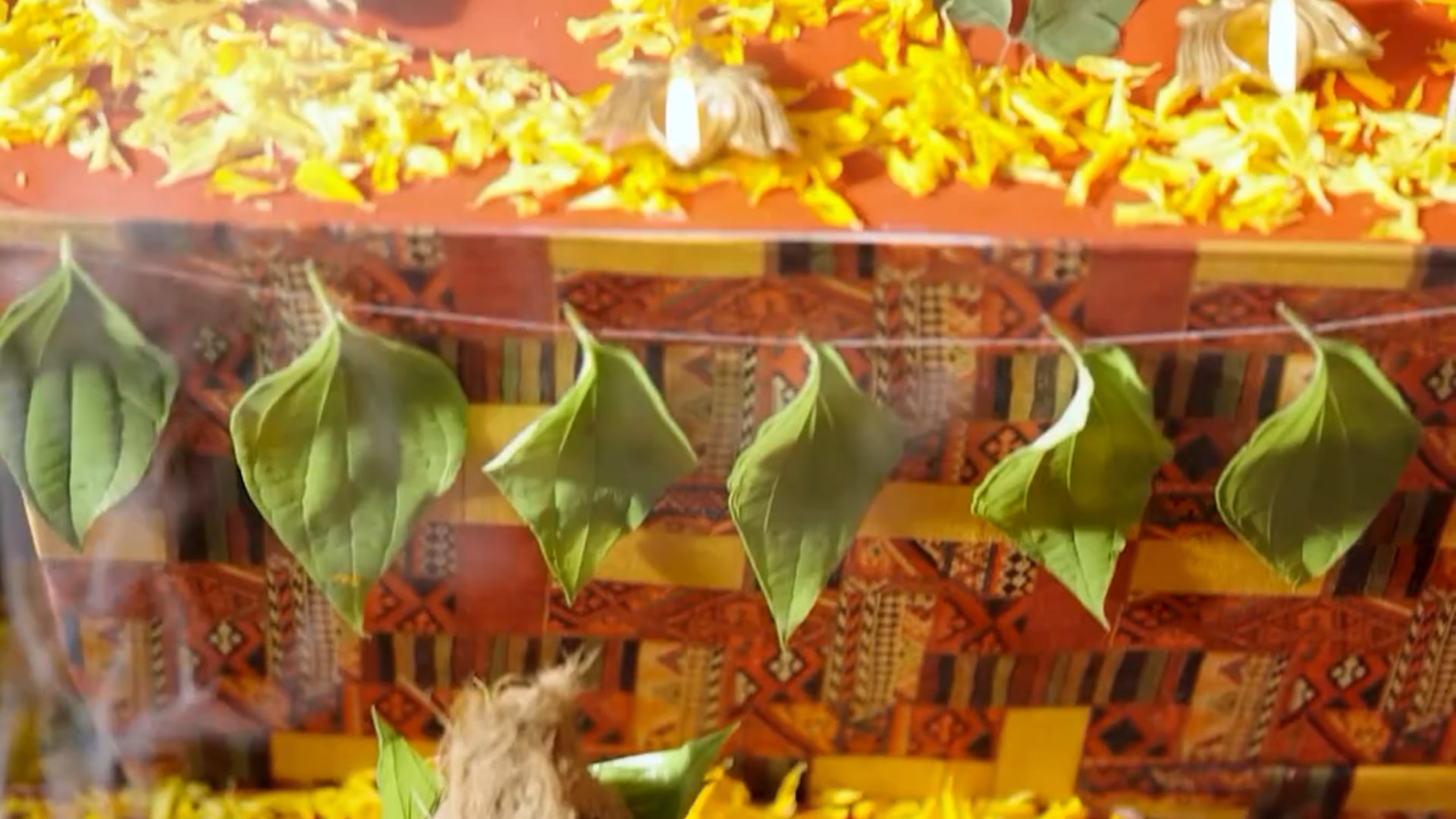 Vishal Saree Reel - 1