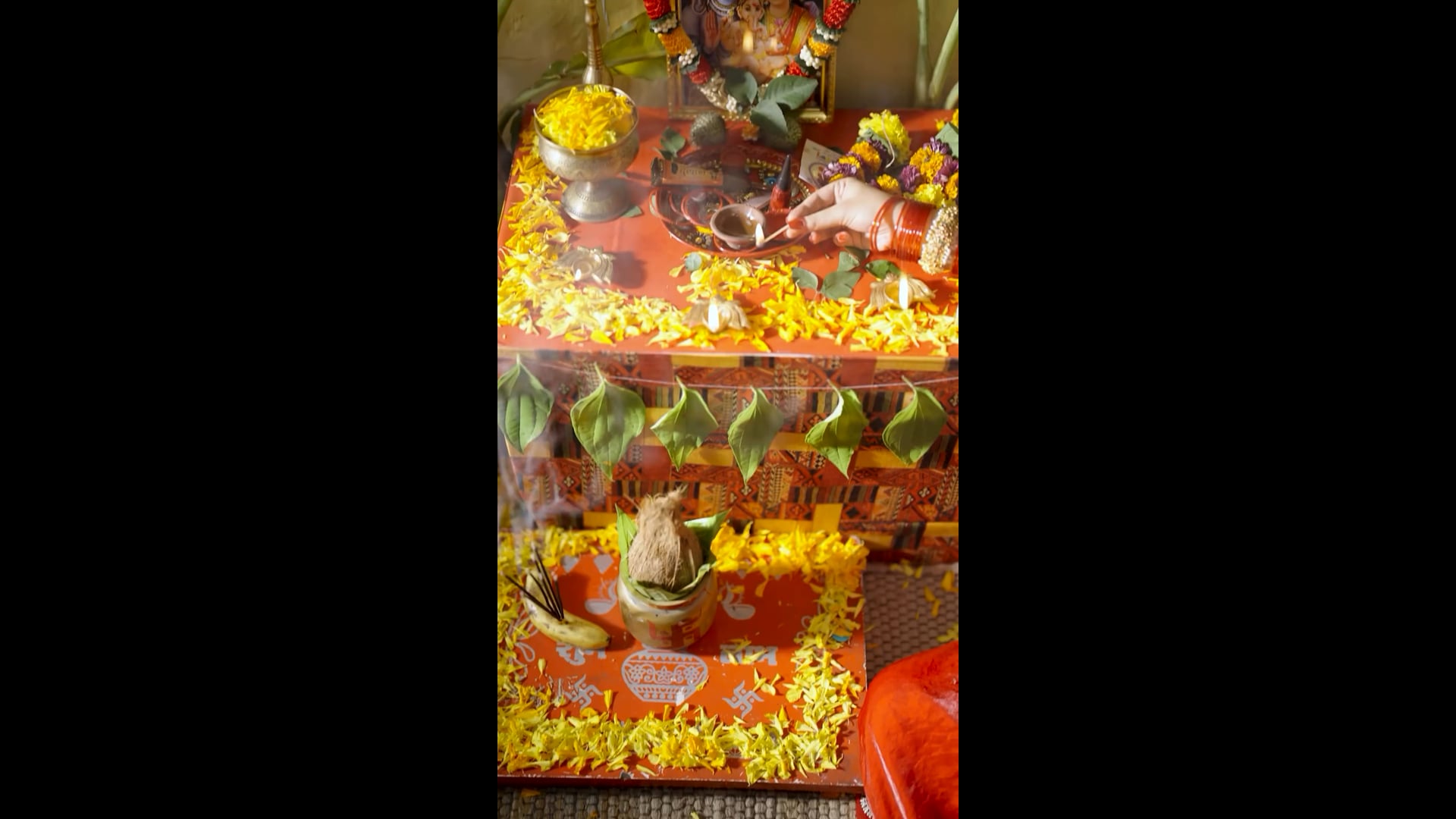 Vishal Saree Reel - 1