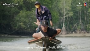 Related Embedded Video Item Thumbnail