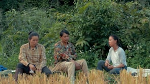 Related Embedded Video Item Thumbnail