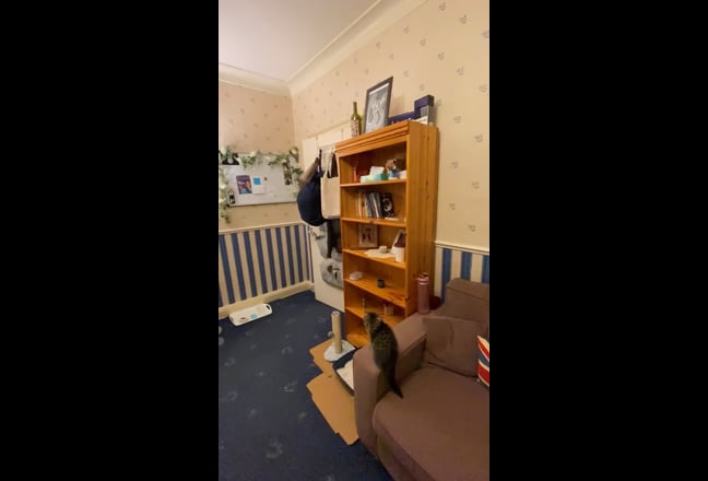 Video 1: Book shelves