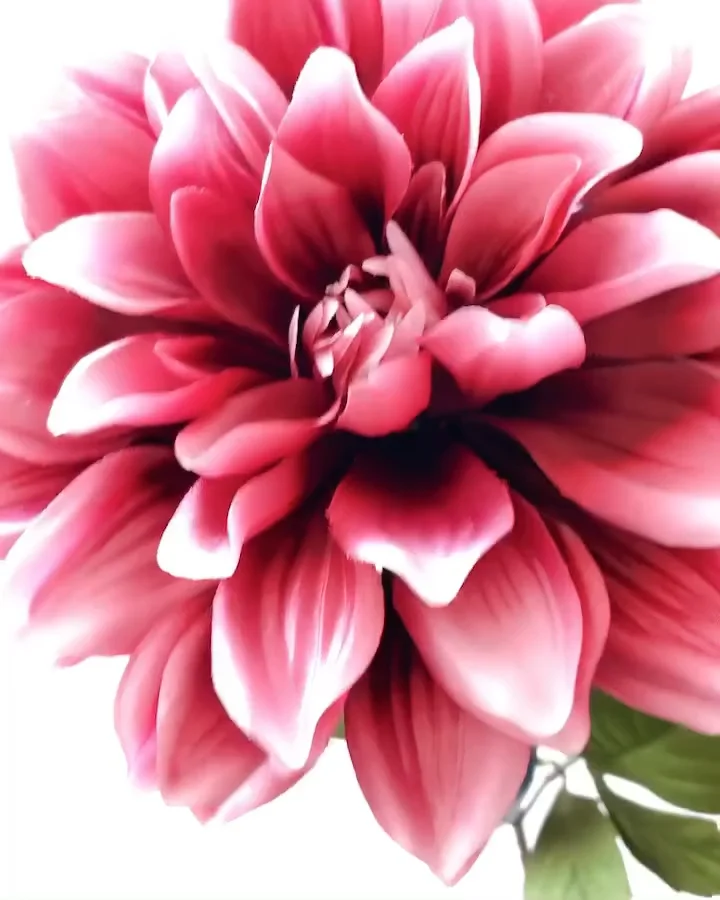 ﾌﾞﾙｰﾐﾝｸﾞﾀﾞﾘｱ: 造花（アーティフィシャルフラワー） ｜ YDMオンライン