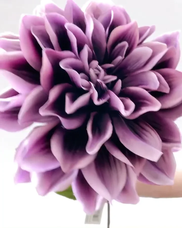 ﾌﾞﾙｰﾐﾝｸﾞﾀﾞﾘｱ: 造花（アーティフィシャルフラワー） ｜ YDMオンライン