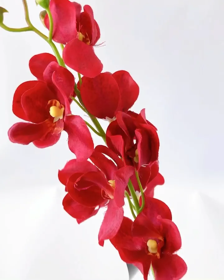 ﾓｶﾗ: 造花（アーティフィシャルフラワー） ｜ YDMオンラインストア