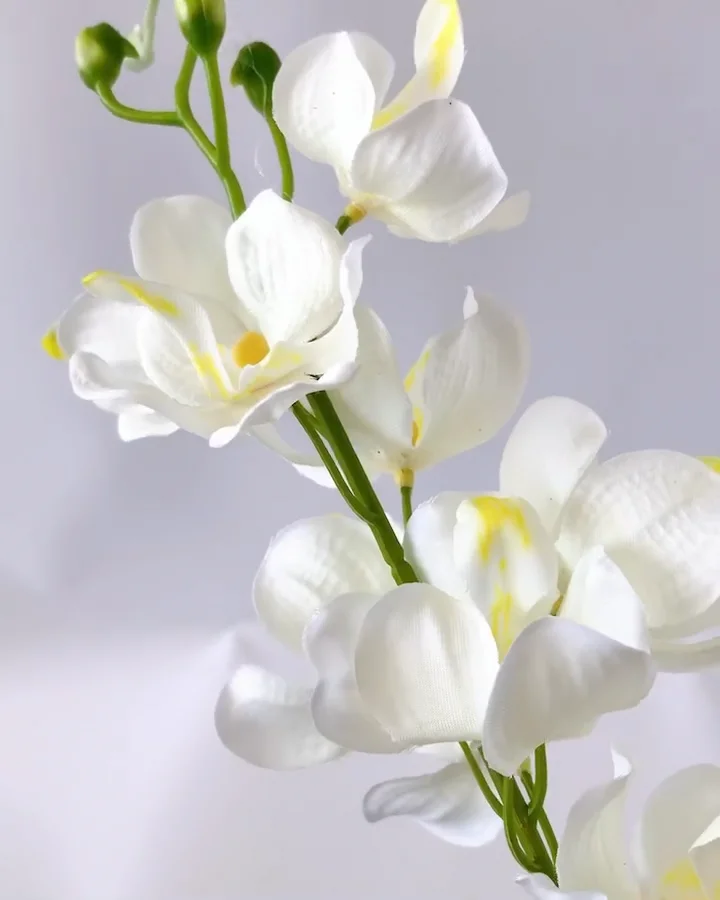 kaeruCoffe さま専用 KZ ZASの個人的 高コスパお勧めリケーブル構成（5/7） 結論