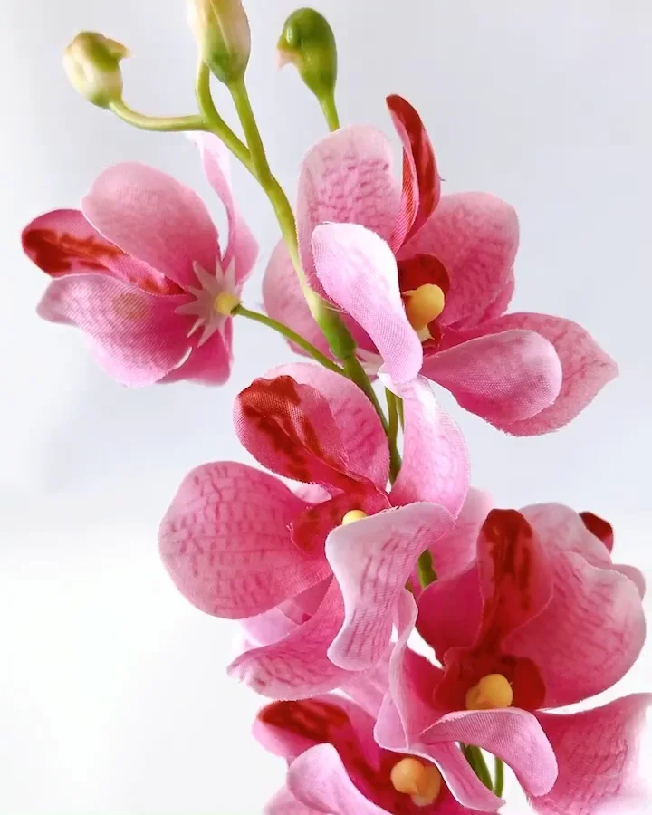 美品　タカラ製　クリエ（CREA) HUエヌグリーディー Zモデル HIDEUP ハイドアップ