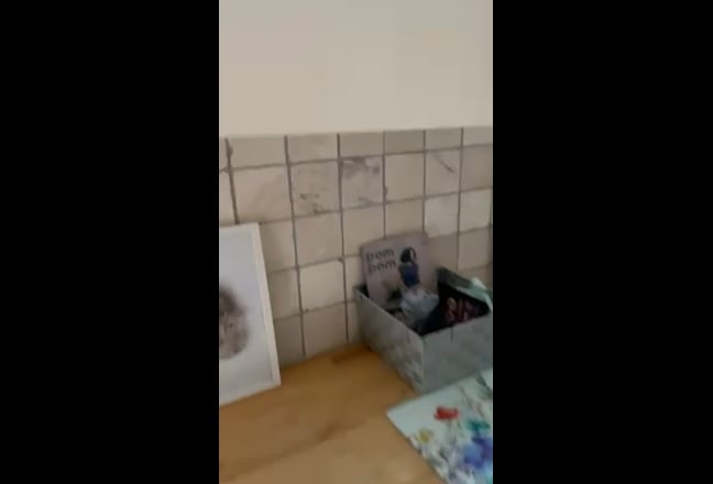 Video 1:
