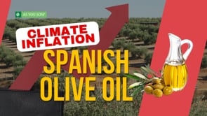 Climate Inflation–Spanish Olive Oil