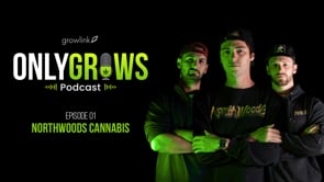 Northwoods Cannabis Podcast