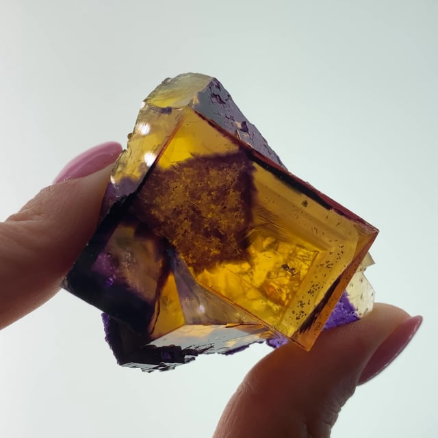 【新品】the fovari THE MINERAL EDITIION Fluorite with Petroleum inclusions - FTW-02 - Minerva No. 1