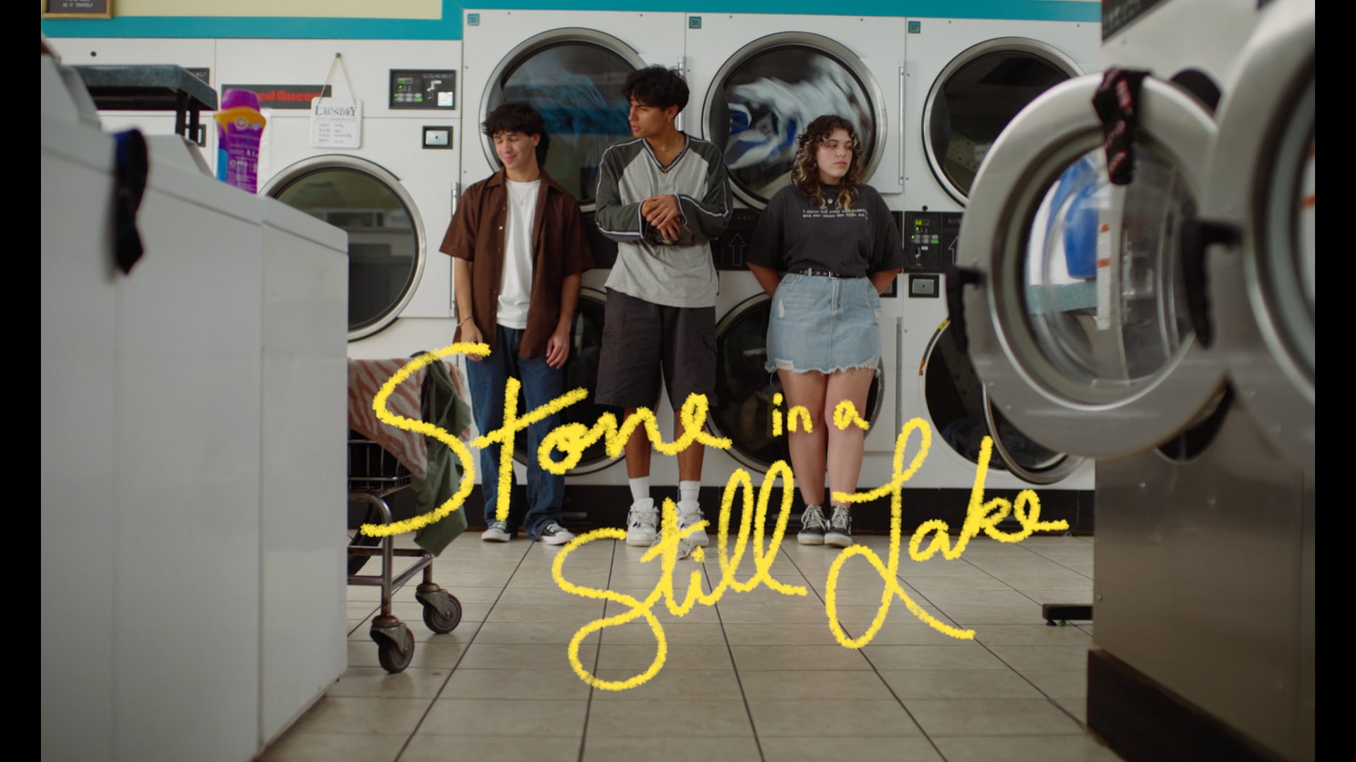 Stone In A Still Lake Promo