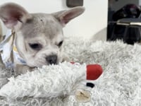 Watch me play!