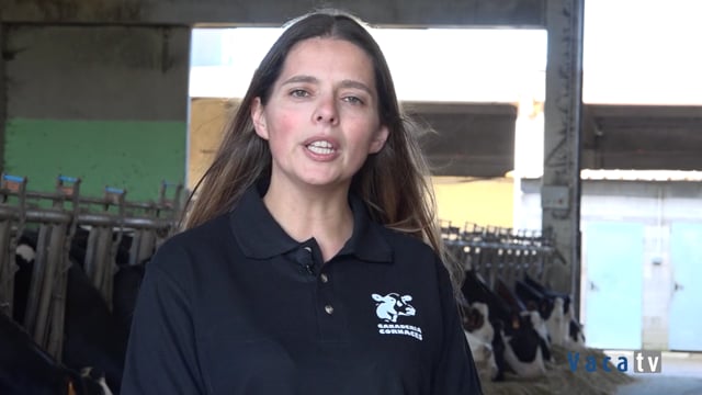 “Uniform nos ayuda a tomar decisiones más informadas, nos ahorra tiempo y mejora la productividad”