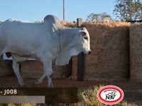 Lote 23