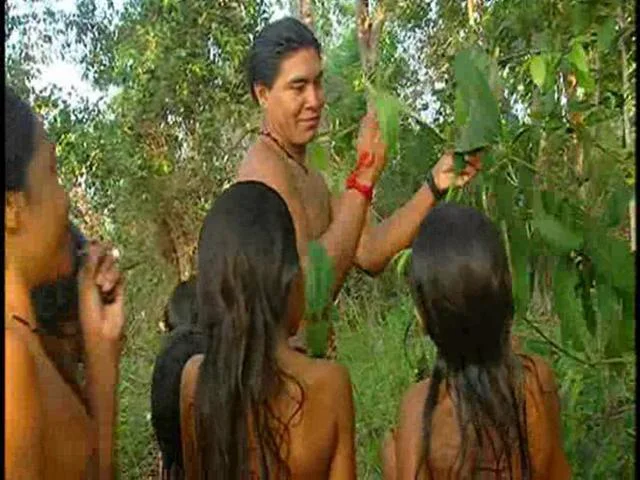 Kalapalo - Document&aacute;rio