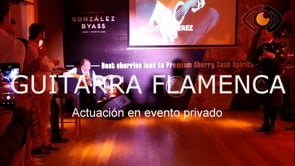 Guitarrista Flamenco en evento fusión