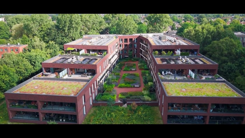 vimeo-video-thumbnail