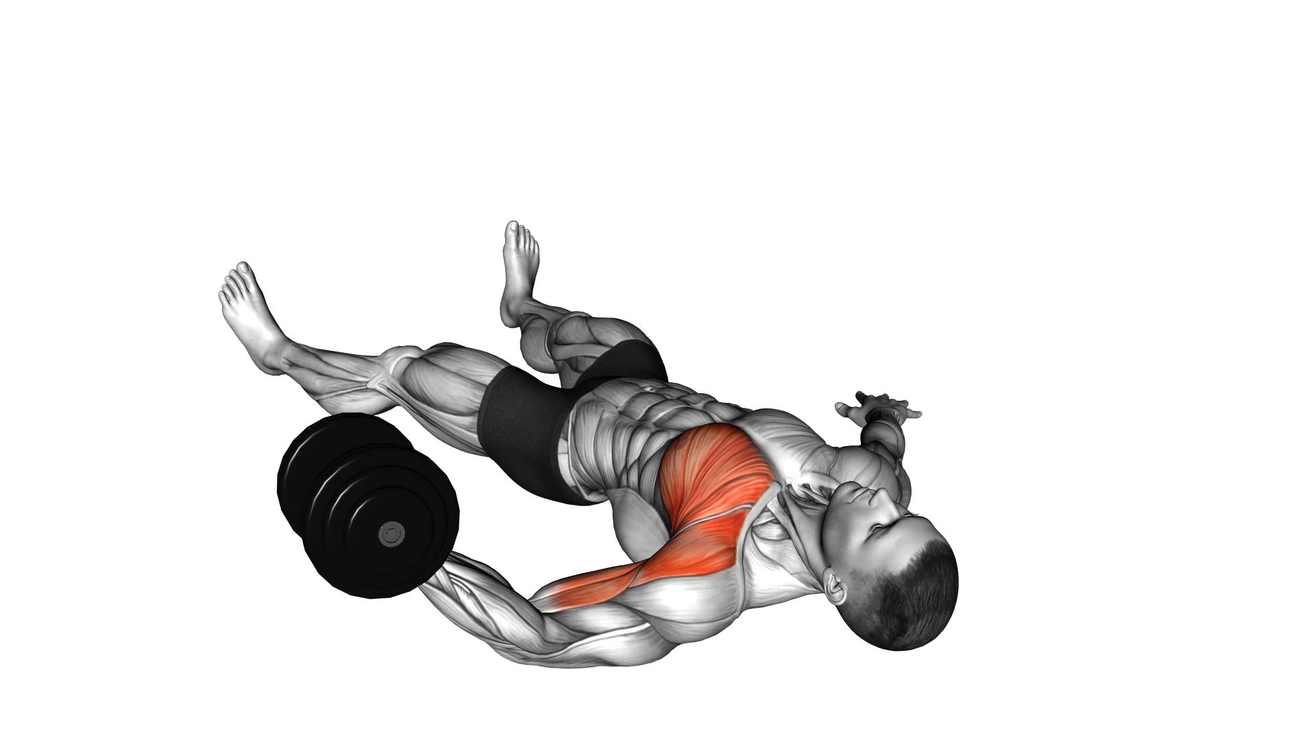 gym workout without bench press best at home chest workout with dumbbells Dumbbell Single-Arm Floor Fly