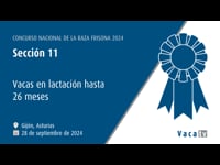 Vacas en lactación ata 26 meses