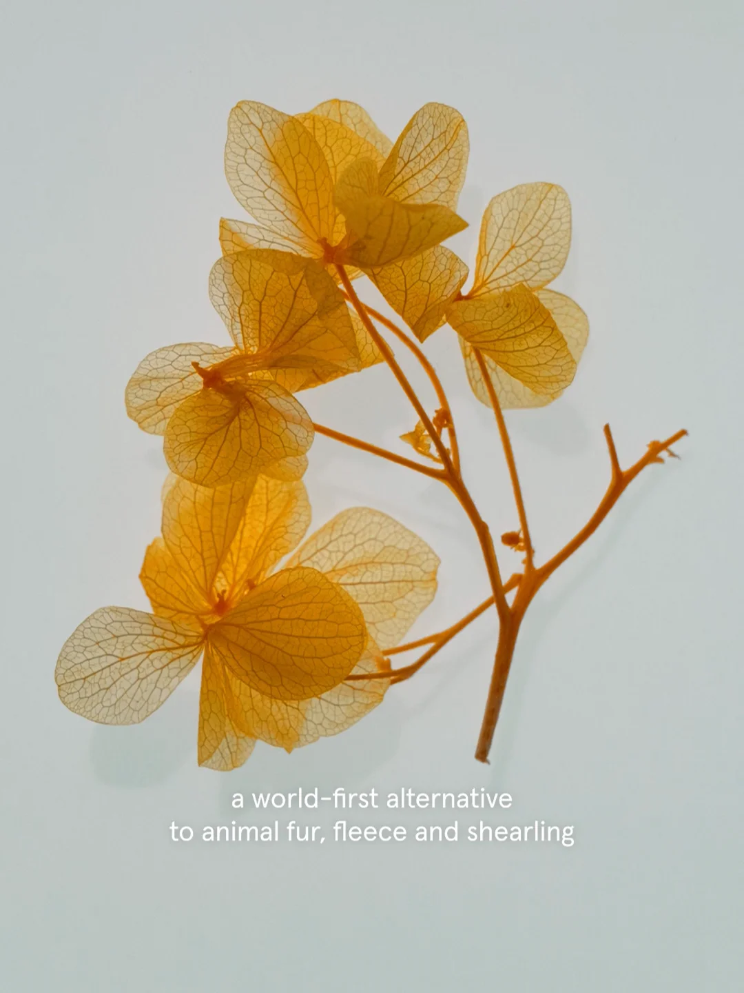 Savian: The first plastic-free fur alternative | Stella