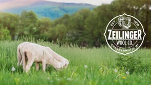 Zeilinger Wool Co - Promo Video