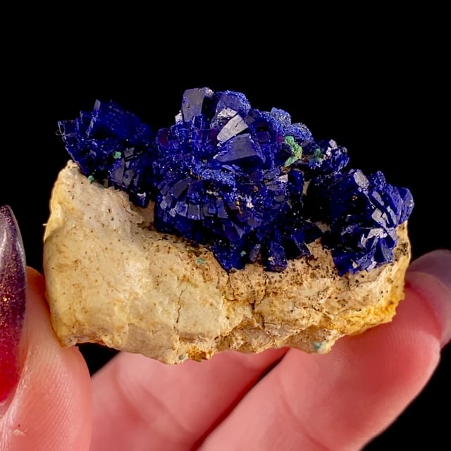 Azurite (fine classic locality specimen)