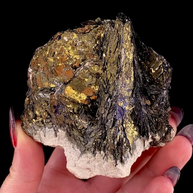 Covellite (large crystals) with Chalcopyrite (classic material)