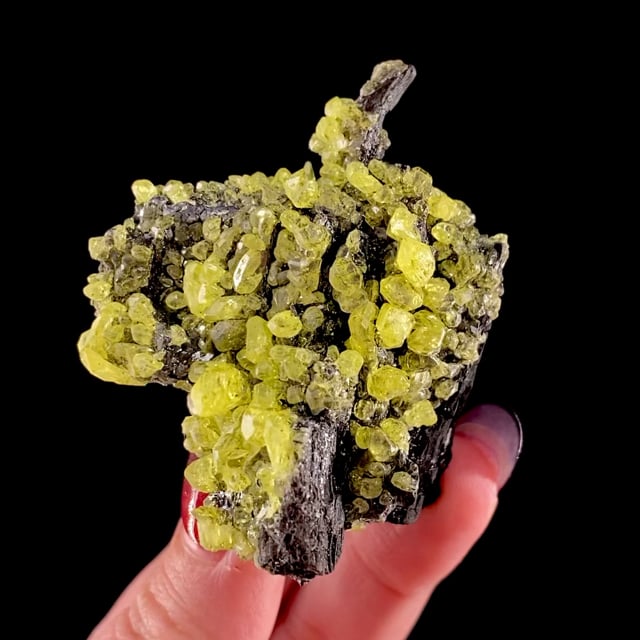 Sulfur (RARE New Zealand locality)