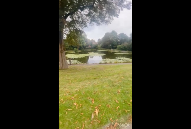 Fully furnished Cosy Single bedroom Main Photo