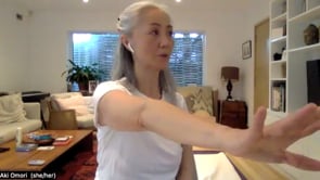 Related Embedded Video Item Thumbnail