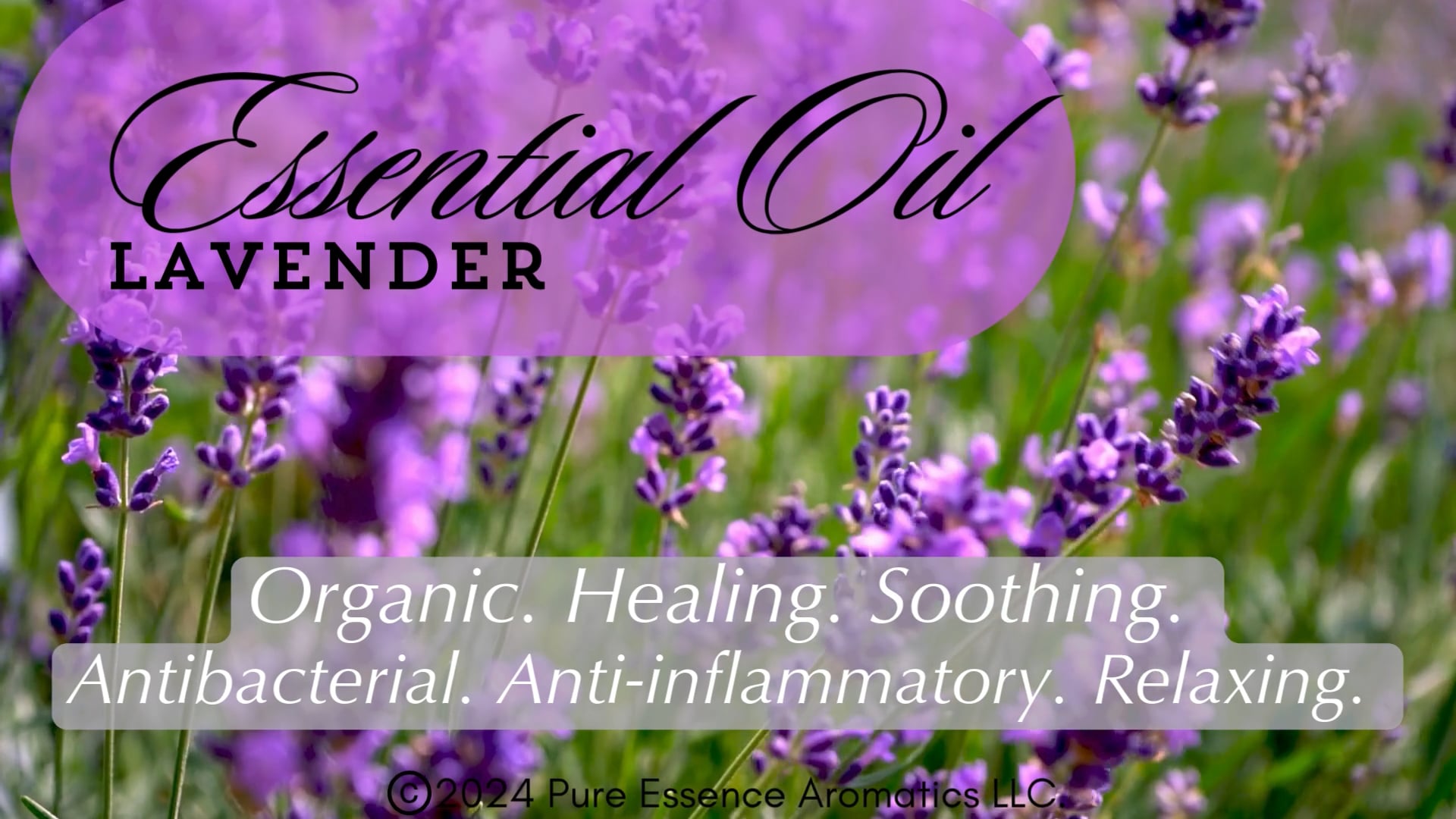 Pure essence aromatics essential oils and blends