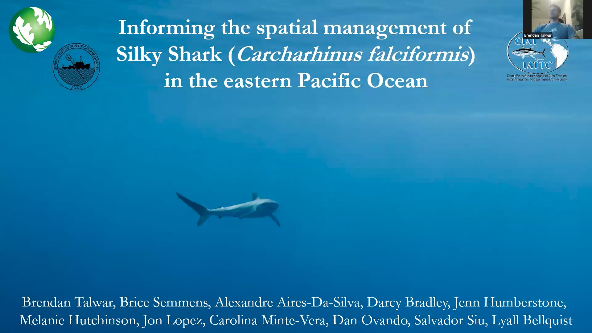 Silky Shark Population Structure: AFS 2024