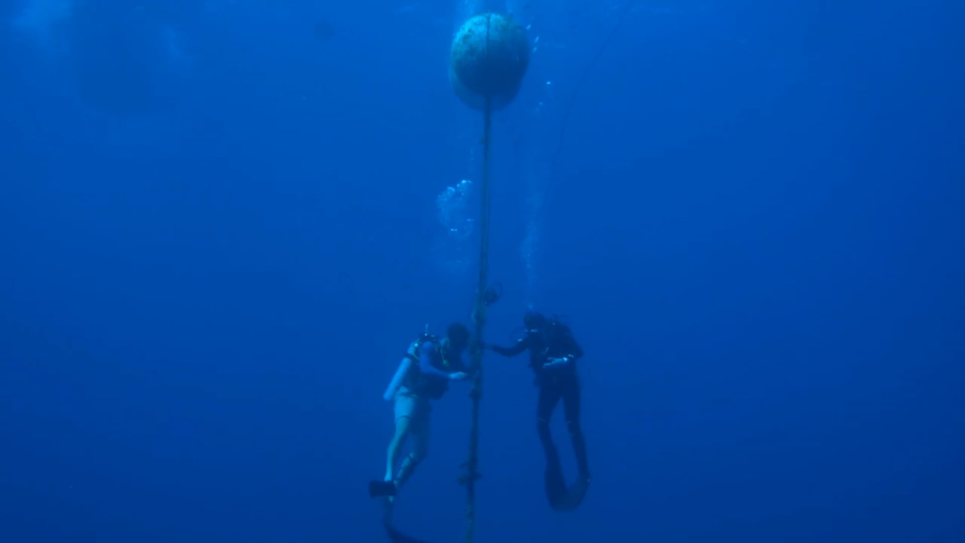 FAD Vertical Acoustic Array