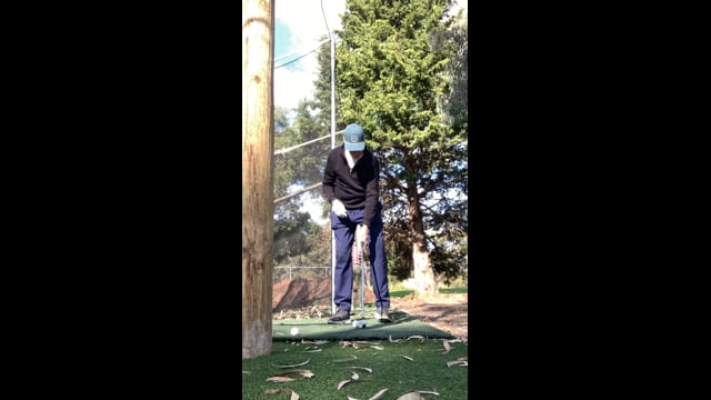 Play swing video