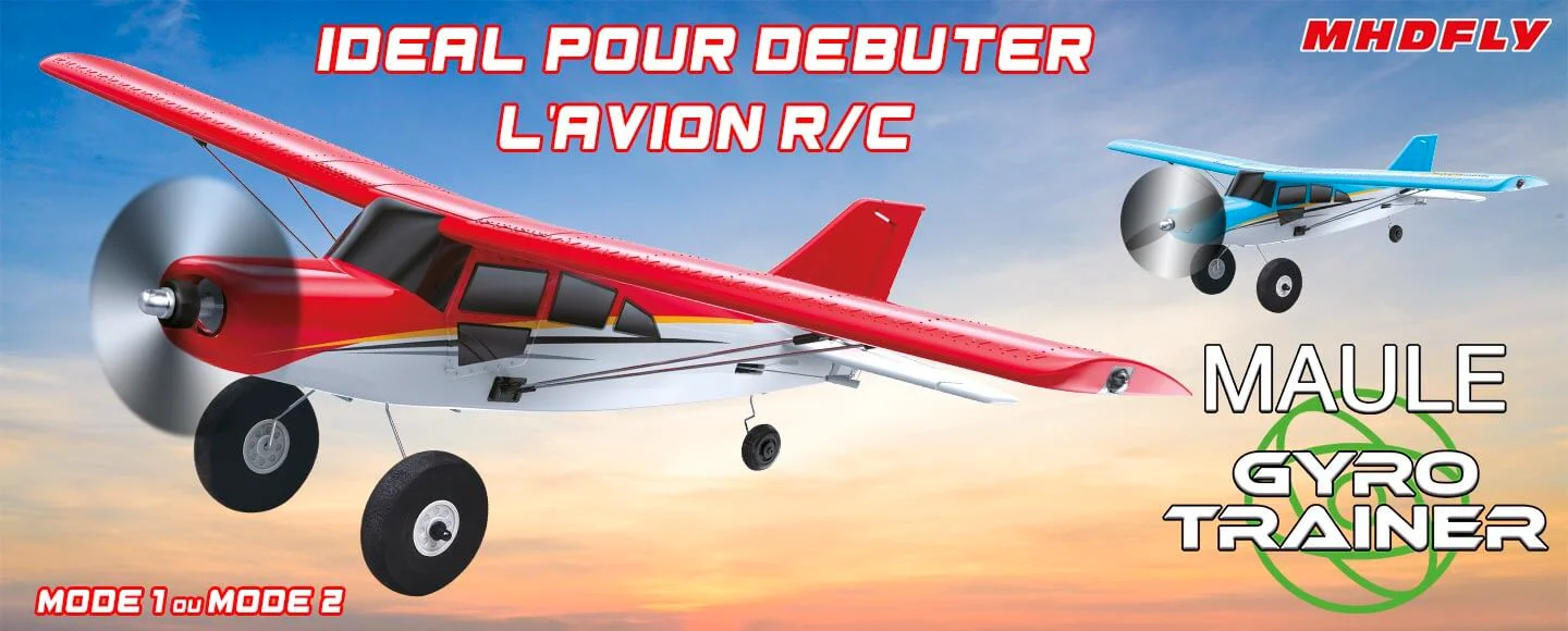 Avion Radiocommandé Avec Gyroscope 6 Axes - Cascades 360°, Idéal Pour Débutants, Matériau Résistant